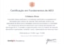 do local business aeo and voice SEO optimization